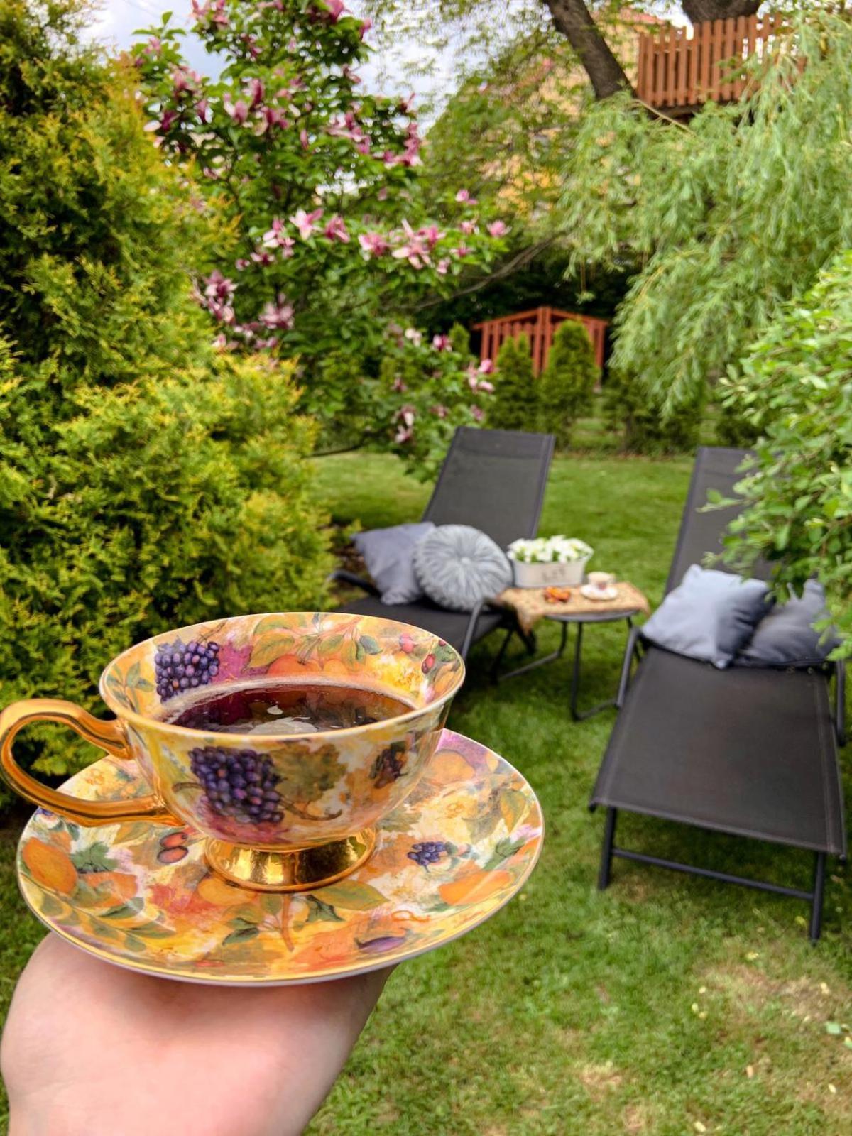 Bed and Breakfast Dom Pod Różami Agroturyst Srebrna Góra Zewnętrze zdjęcie